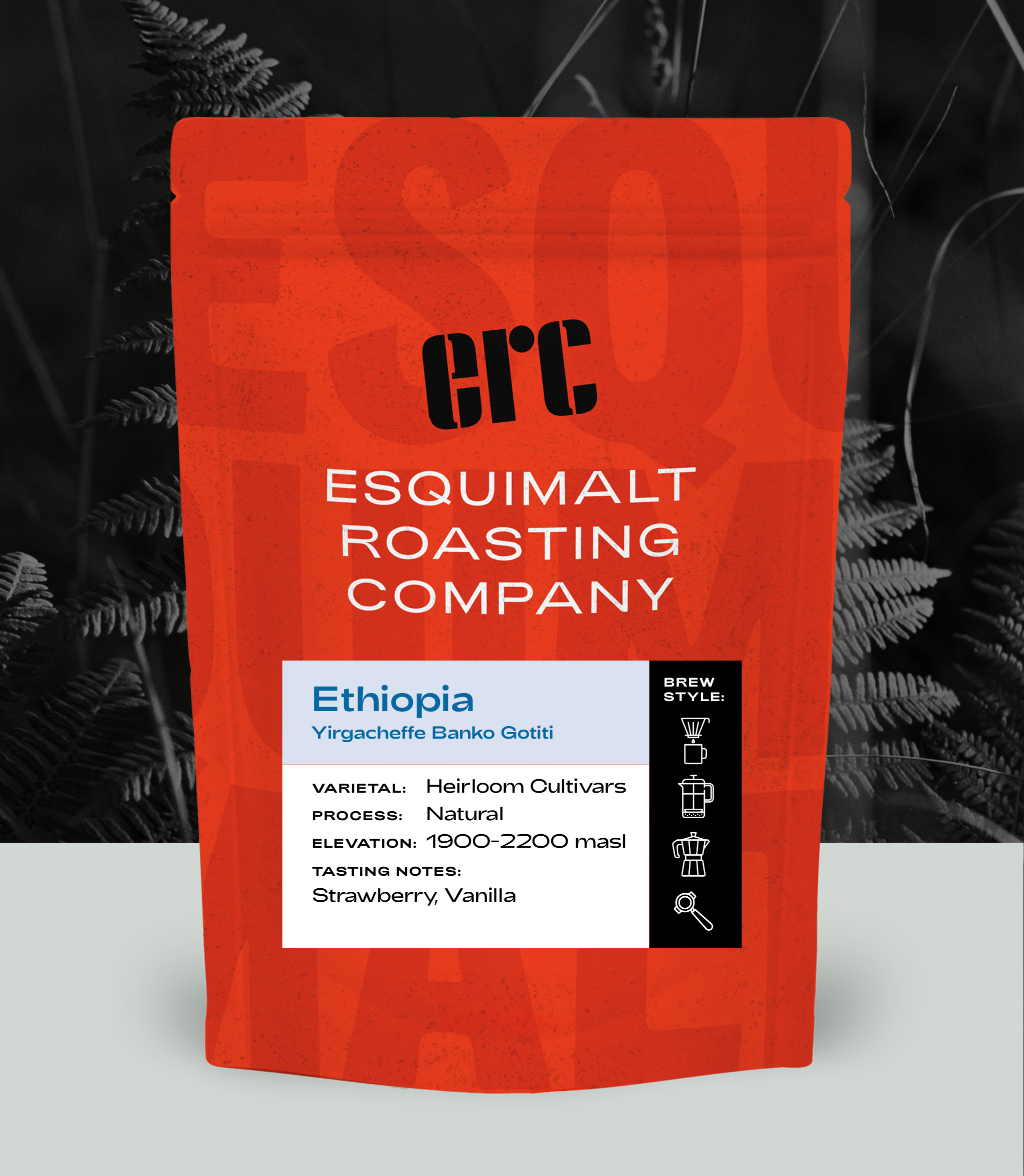 Ethiopia Yirgacheffe Banko Gotiti